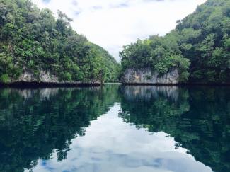 27750542_1963026380378250_4240210154686179102_n